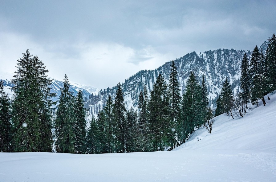 Top 5 hill stations in Himachal Pradesh, Scenic Himachal mountain road with pine forests and snow-covered peaks