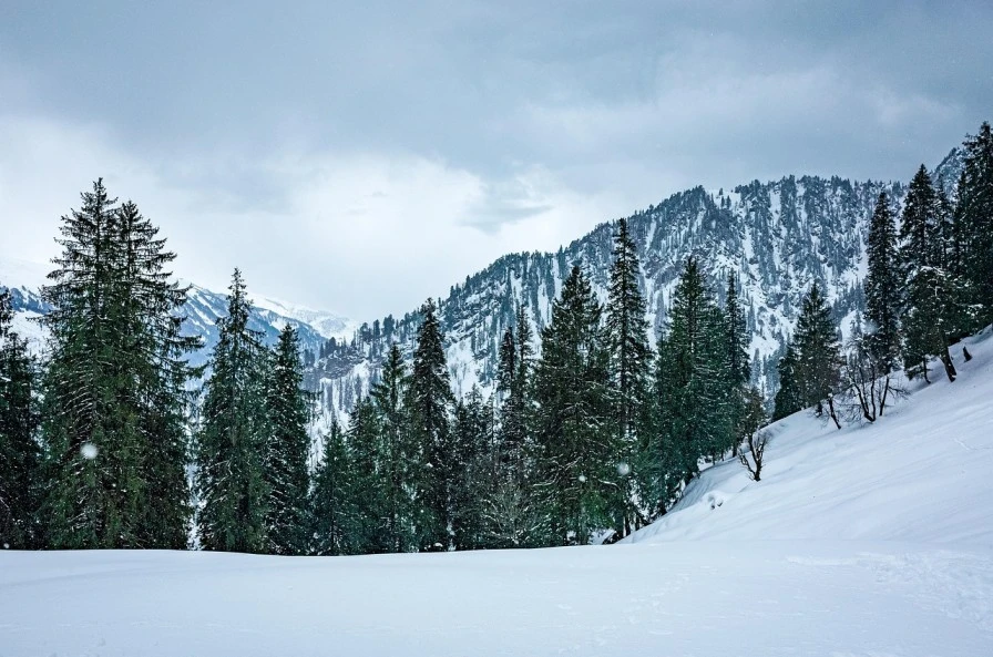 Top hill stations for snowfall, Snow-covered mountain road in Himachal Pradesh during winter, surrounded by pine trees.
